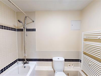 Picture 7